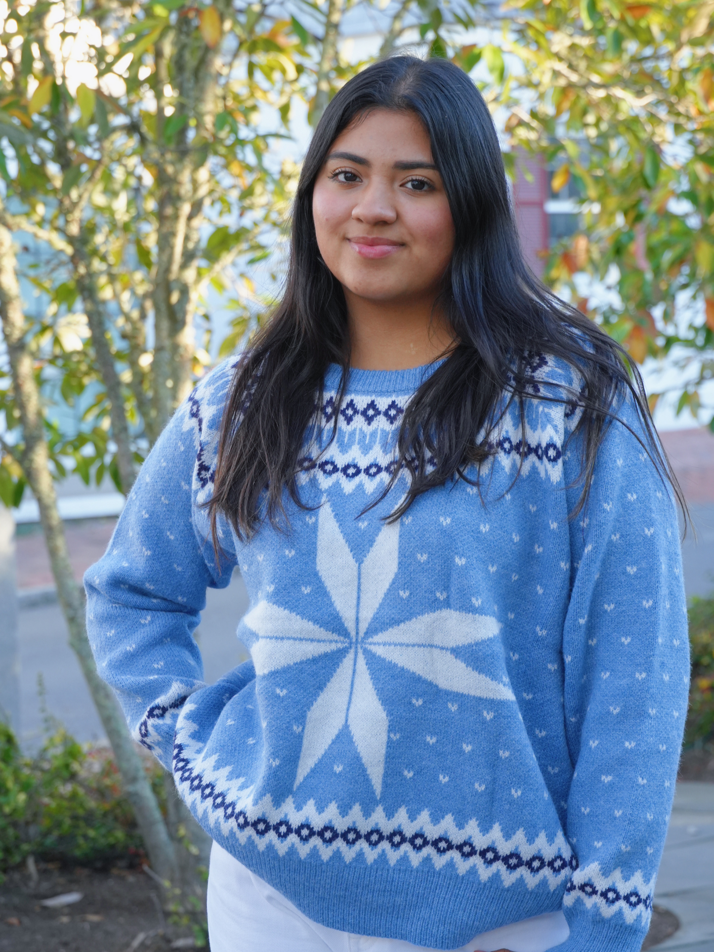 BLUE WINTER SWEATER