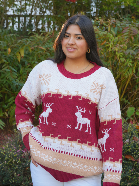 JOLLY RED SWEATER